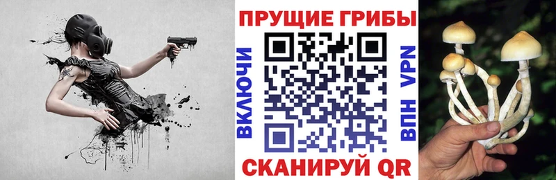 Псилоцибиновые грибы мицелий  Купить  Малая Вишера 